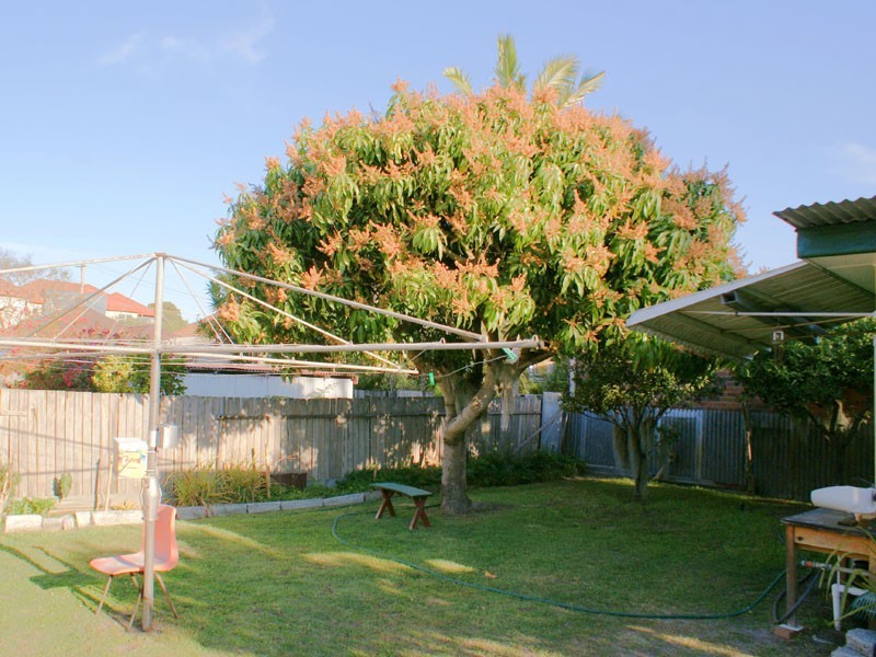 9 Veda Street, Hamilton NSW 2303