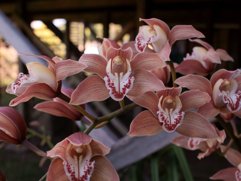 40 Railway Street, Dudley NSW 2290