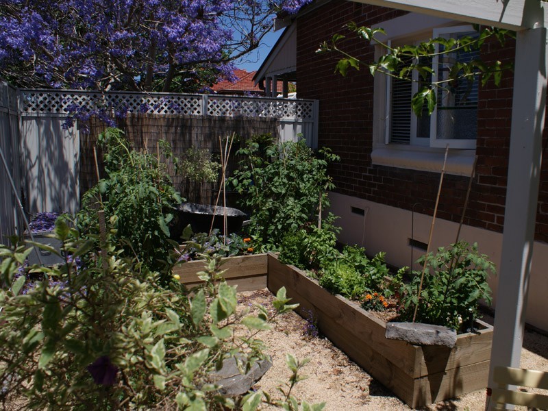 21 Mabel St, Georgetown NSW 2298