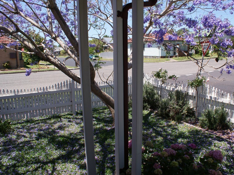 21 Mabel St, Georgetown NSW 2298
