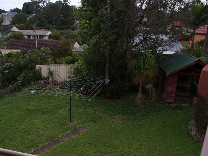 17 Greystone Street, North Lambton NSW 2299