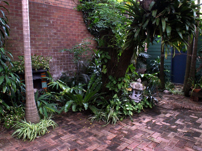 32 Throsby St, Wickham NSW 2293