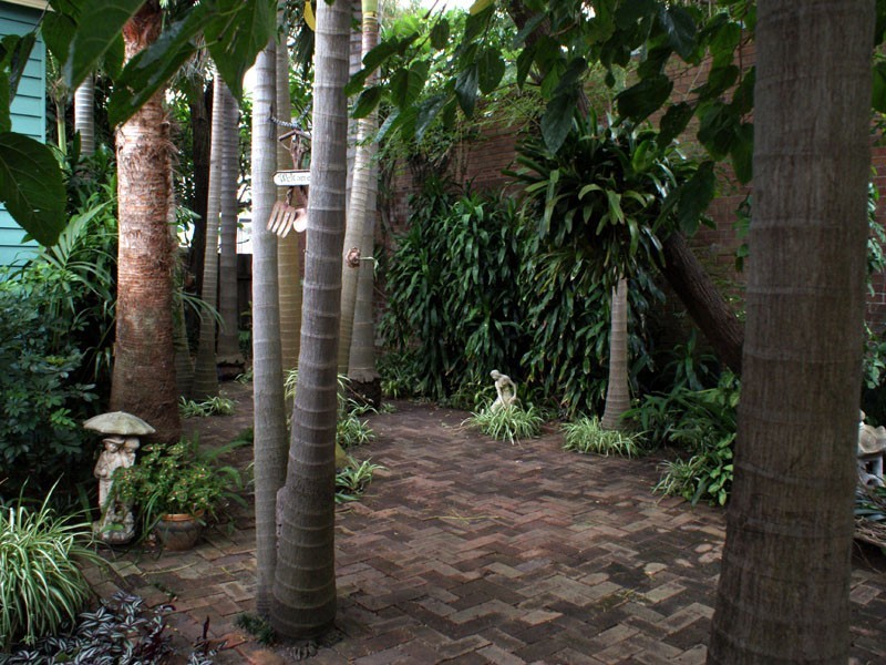 32 Throsby St, Wickham NSW 2293