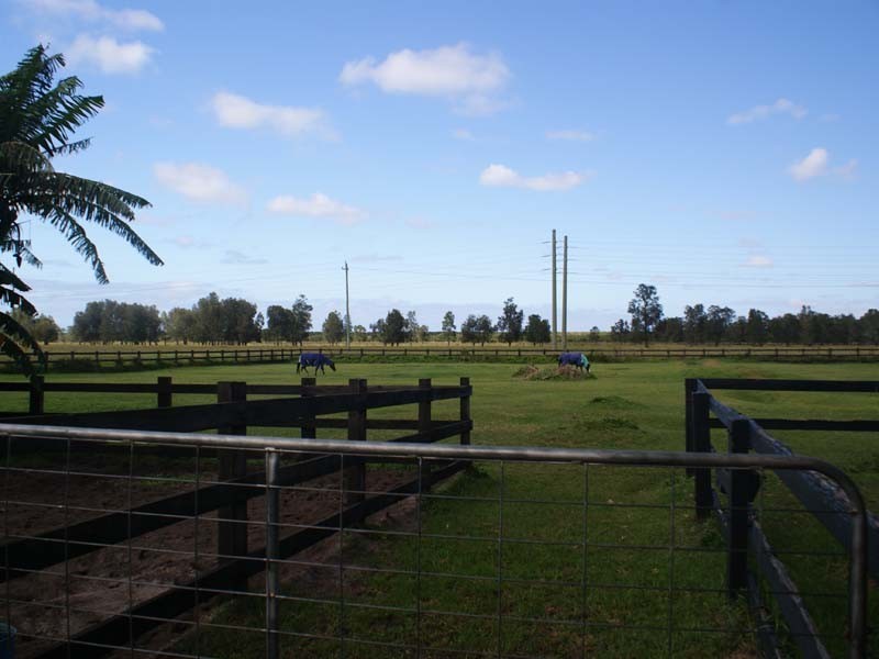 425 Cabbage Tree Road, Williamtown NSW 2318