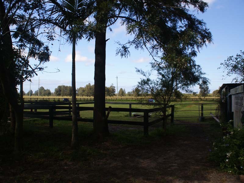 425 Cabbage Tree Road, Williamtown NSW 2318