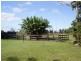 425 Cabbage Tree Road, Williamtown NSW 2318