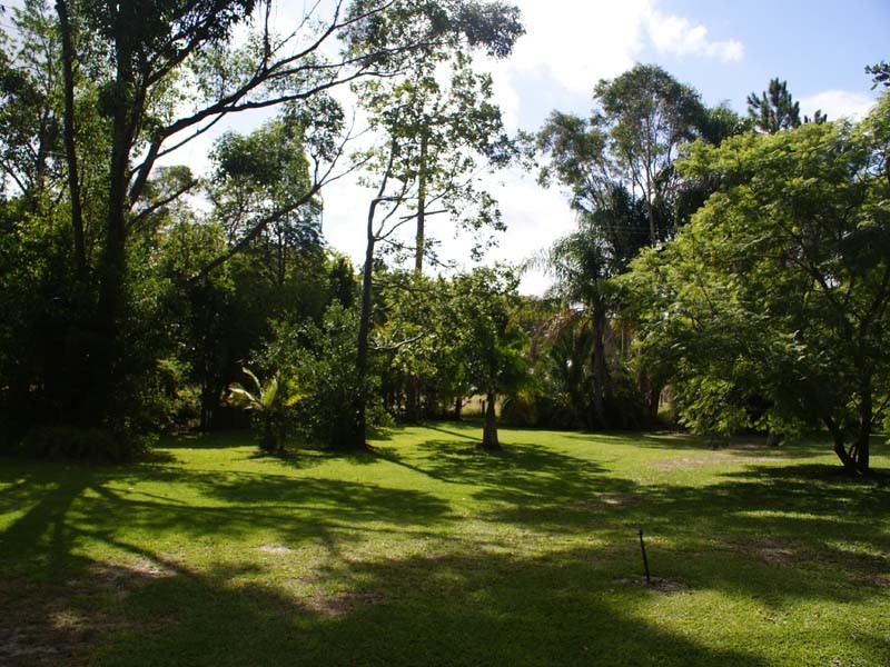 425 Cabbage Tree Road, Williamtown NSW 2318