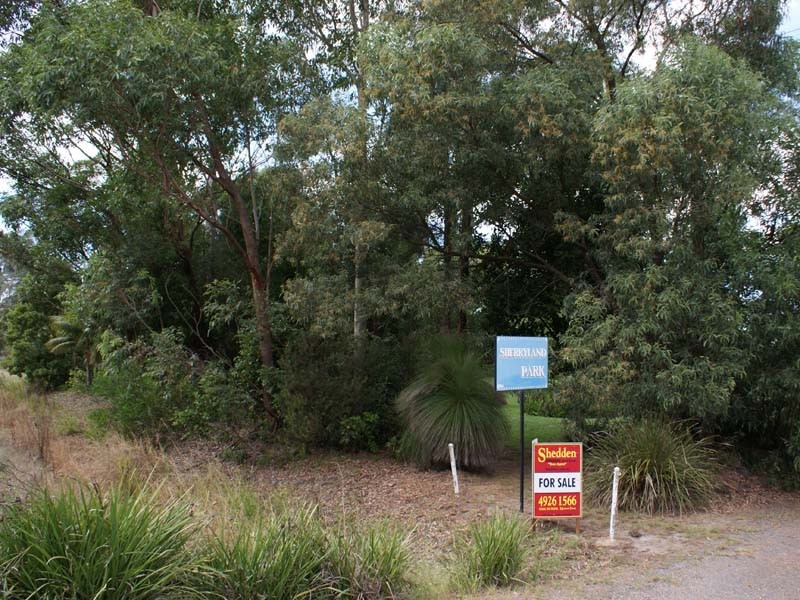 425 Cabbage Tree Road, Williamtown NSW 2318