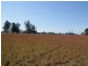 285 Cabbage Tree Rd, Williamtown NSW 2318