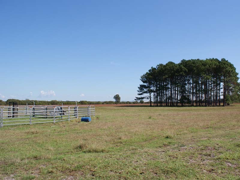 285 Cabbage Tree Rd, Williamtown NSW 2318