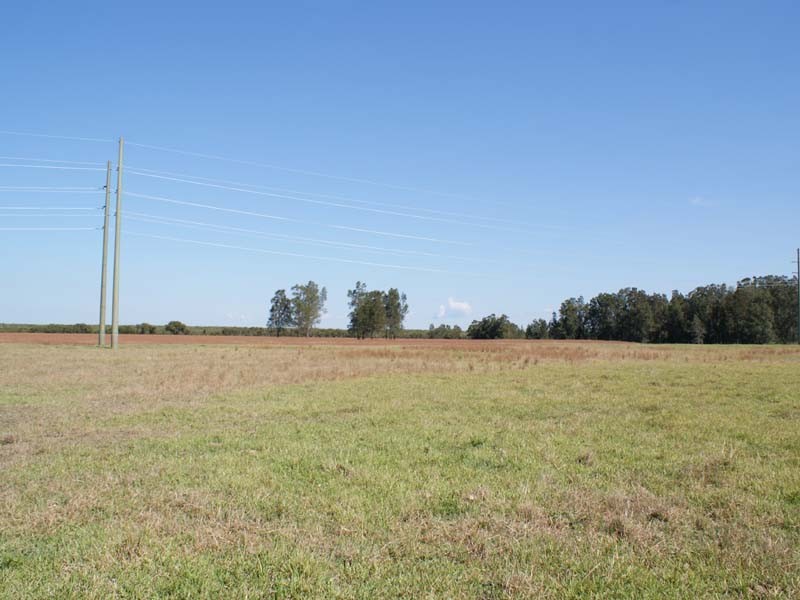 285 Cabbage Tree Rd, Williamtown NSW 2318