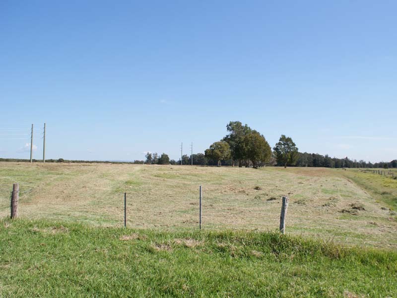 285 Cabbage Tree Rd, Williamtown NSW 2318