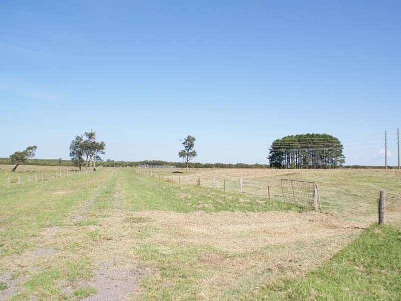 285 Cabbage Tree Rd, Williamtown NSW 2318