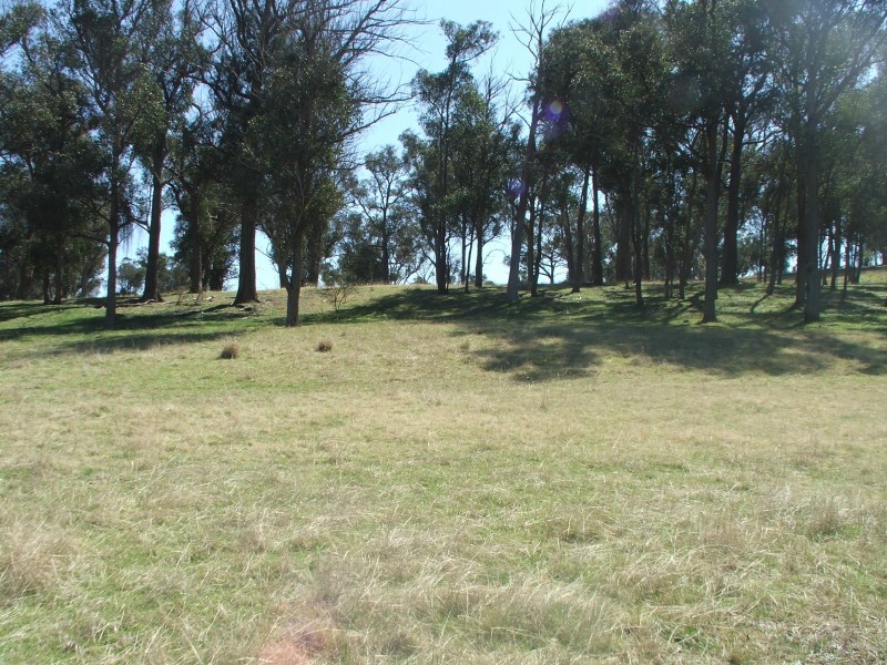 210 Donald Rd, Armidale NSW 2350