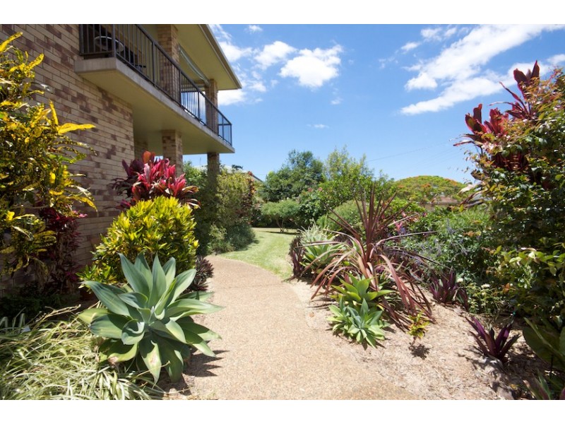 15 Coachwood Street, Buderim QLD 4556