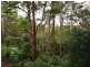 5 Nangara Court, Buderim QLD 4556