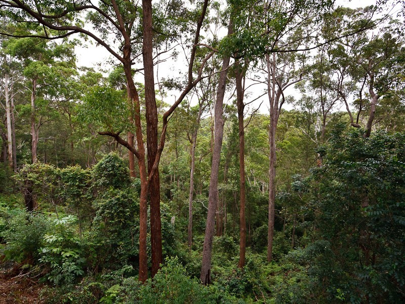 5 Nangara Court, Buderim QLD 4556