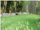 14 Forest Oak Court, Tanawha QLD 4556