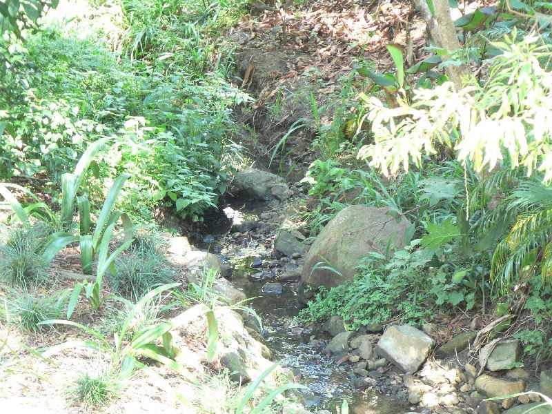 6 Tommys Court, Buderim QLD 4556