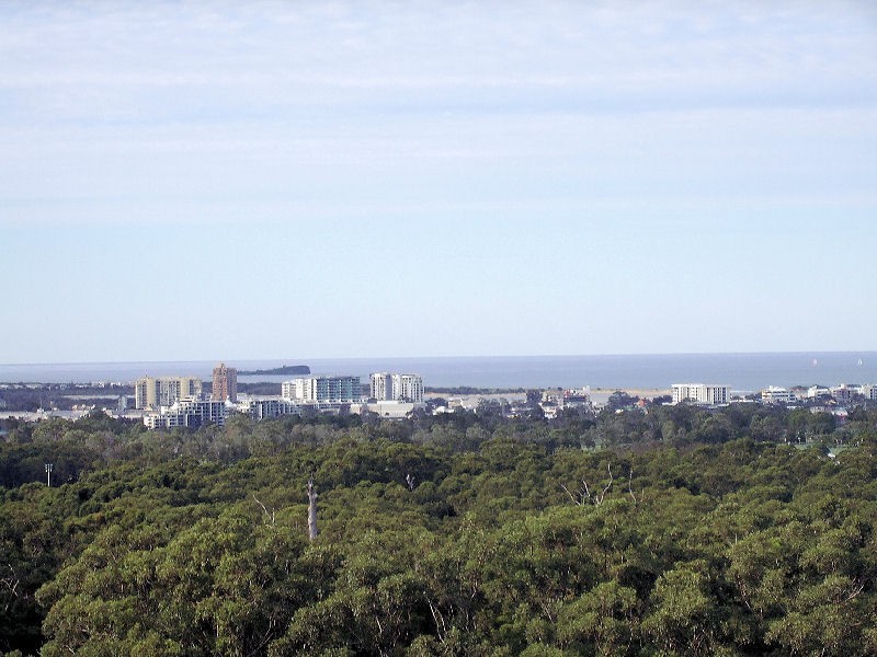 16 Mayfair Lane, Buderim QLD 4556