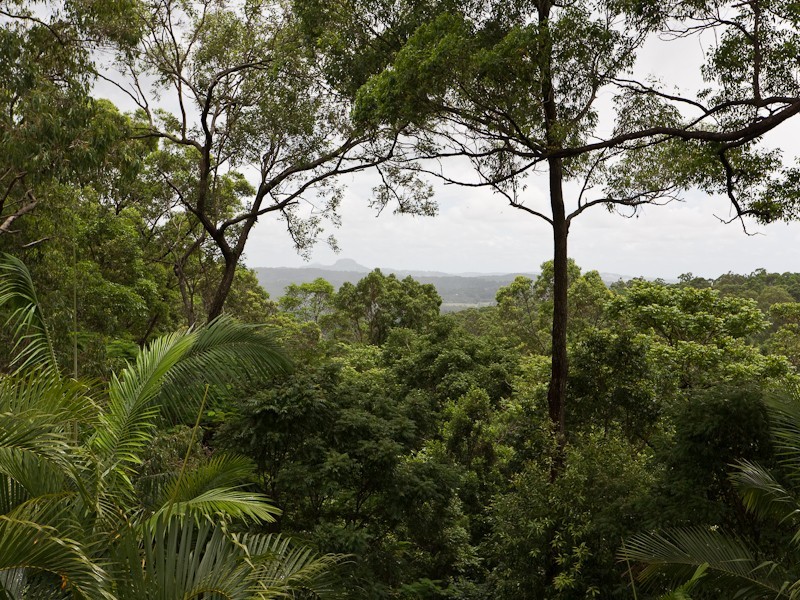 85 Mons School Road, Buderim QLD 4556