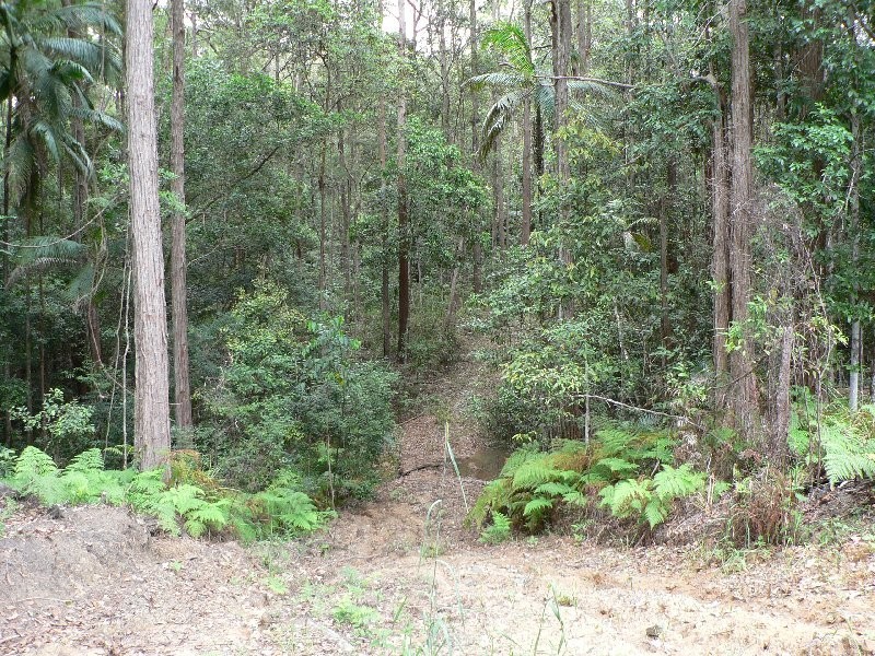 46 Radbourne Road, Tanawha QLD 4556