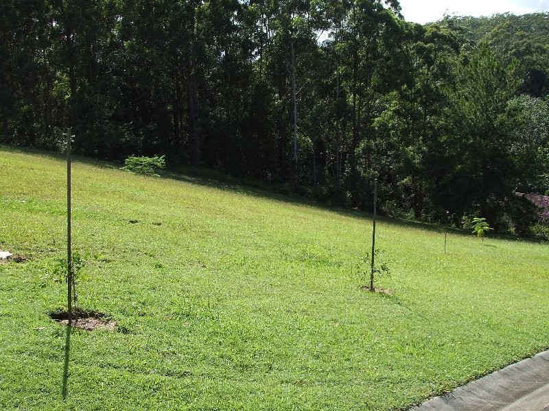 29 Toulambi Drive, Buderim QLD 4556