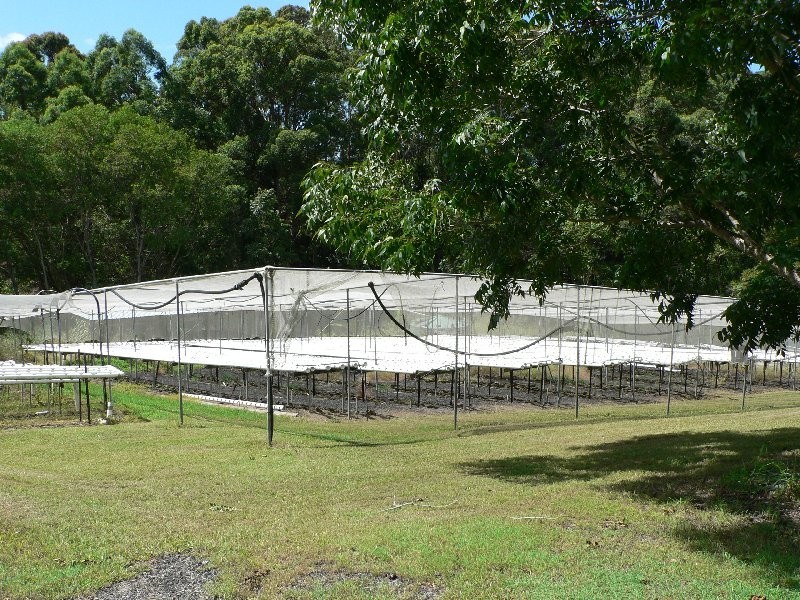 380 Ilkley Road, Ilkley QLD 4554