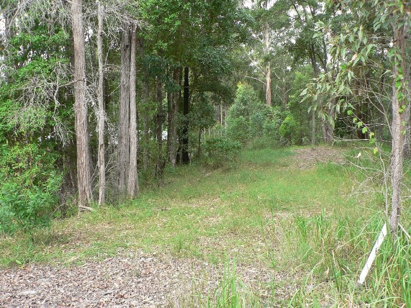 4 Summer Ridge Place, Buderim QLD 4556