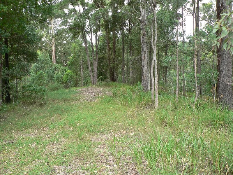 4 Summer Ridge Place, Buderim QLD 4556