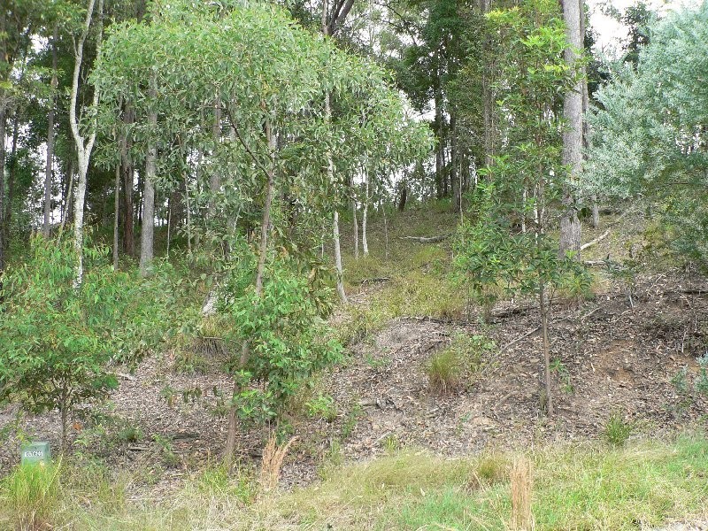 4 Summer Ridge Place, Buderim QLD 4556