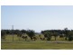 3 Byron Street, Burnett Heads QLD 4670