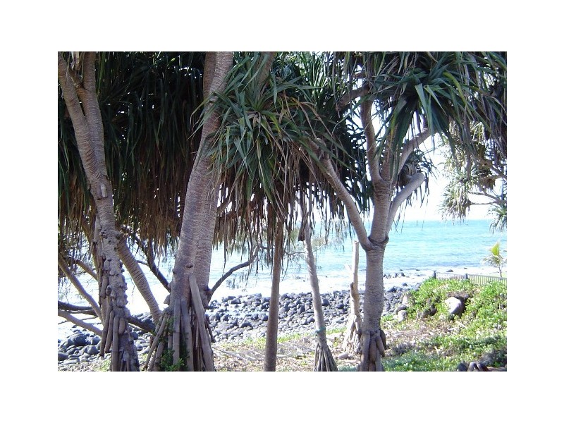 137 Woongarra Scenic Dr, Bargara QLD 4670