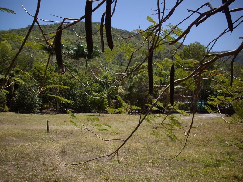 Clifton Beach QLD 4879