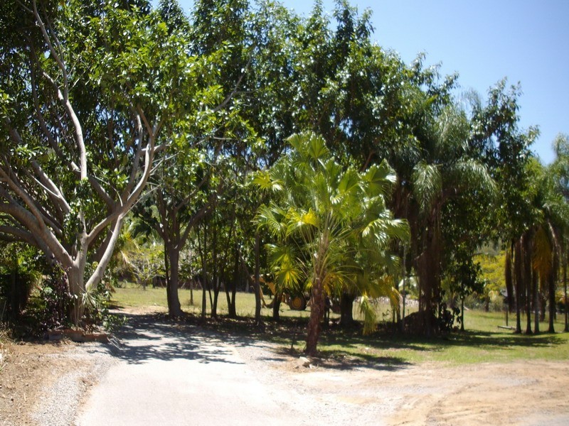 Lot11 Stevens Street, Clifton Beach QLD 4879
