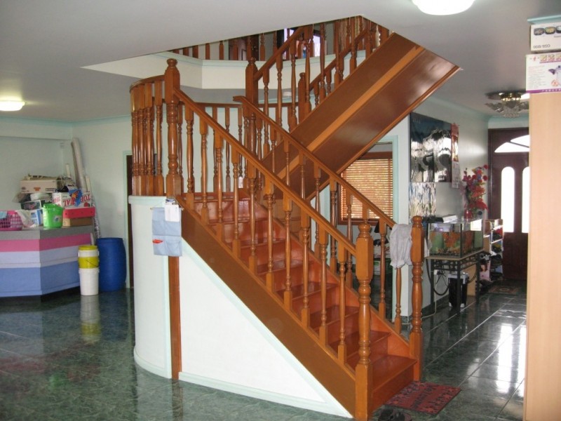 31 Antonietta Street, Cabramatta NSW 2166