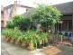 Canley Heights NSW 2166
