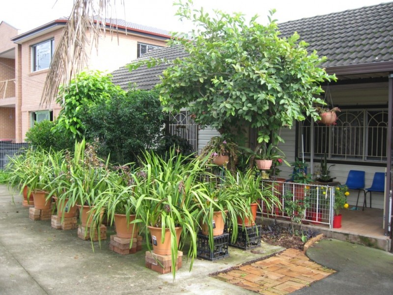Canley Heights NSW 2166