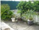 20 Thorney Road, Fairfield West NSW 2165