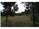 Aberfoyle Park SA 5159