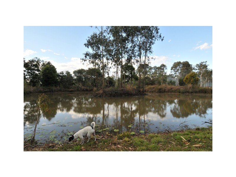 838 Mundoolun Connection Rd, Tamborine QLD 4270