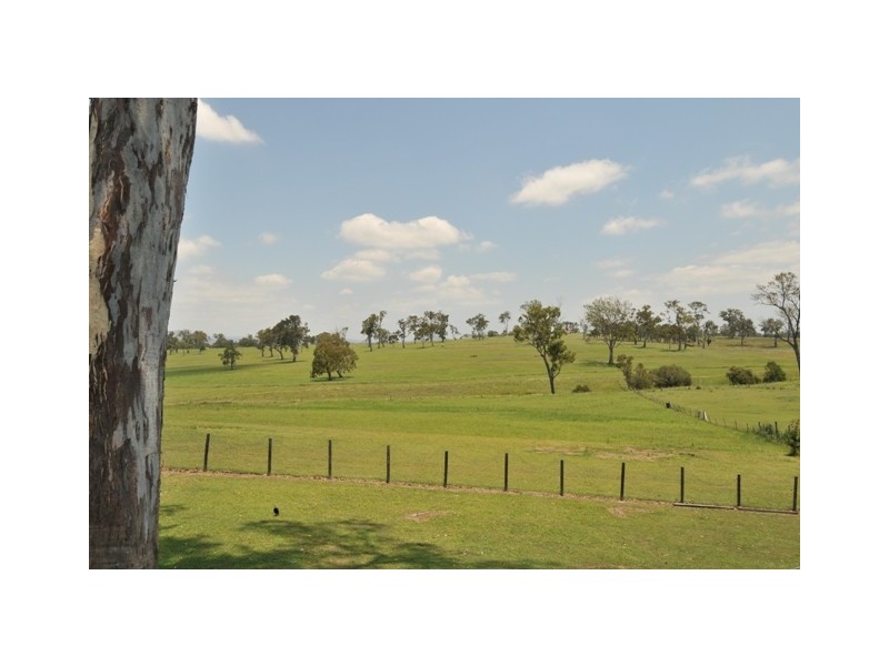 Tamborine QLD 4270