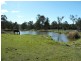 Cedar Creek QLD 4207