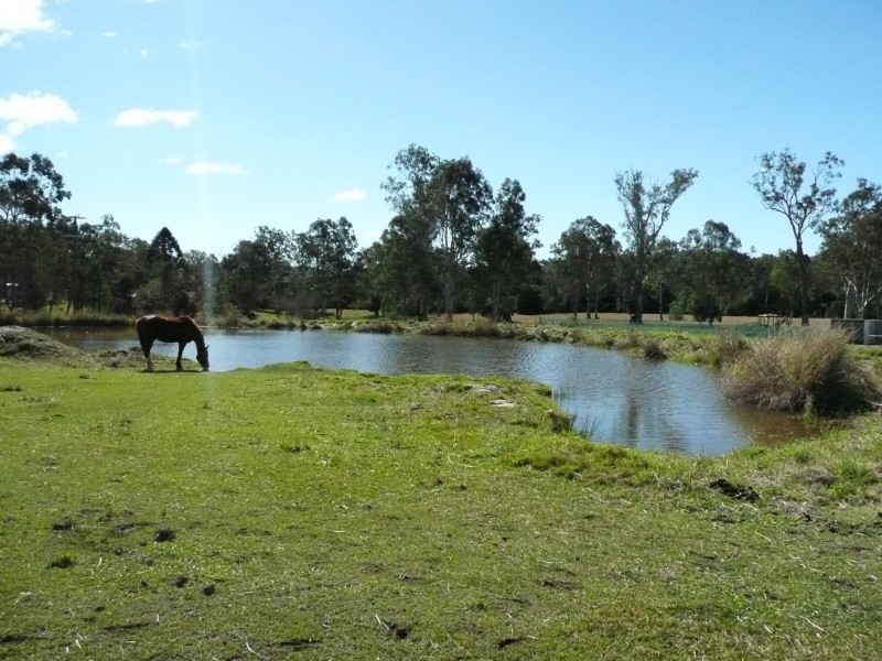Cedar Creek QLD 4207