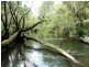 Cedar Creek QLD 4207