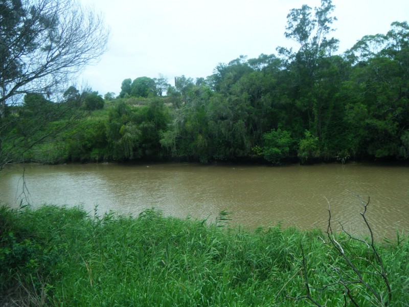 37 Katrina Cres, Waterford West QLD 4133