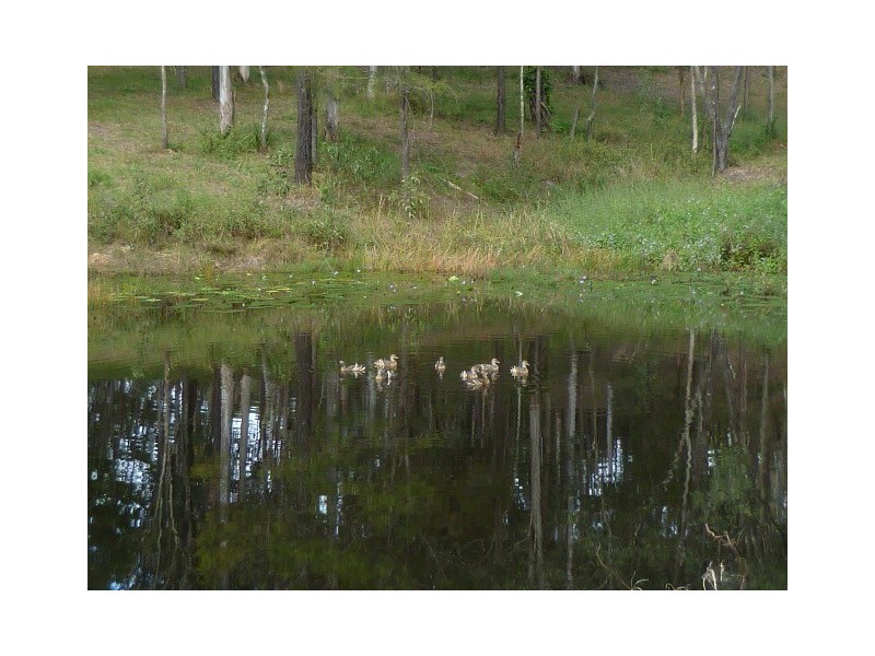 Willow Vale QLD 4209