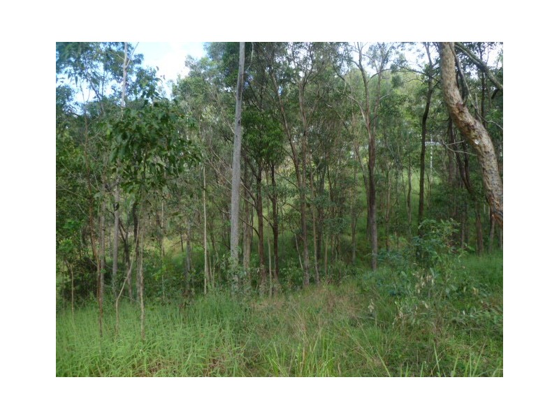 Willow Vale QLD 4209
