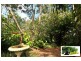 Tamborine QLD 4270