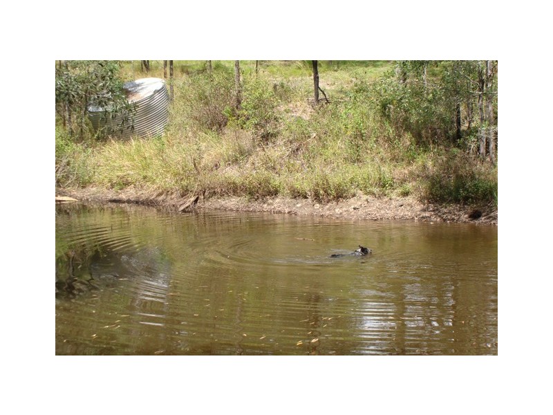 Cedar Creek QLD 4207